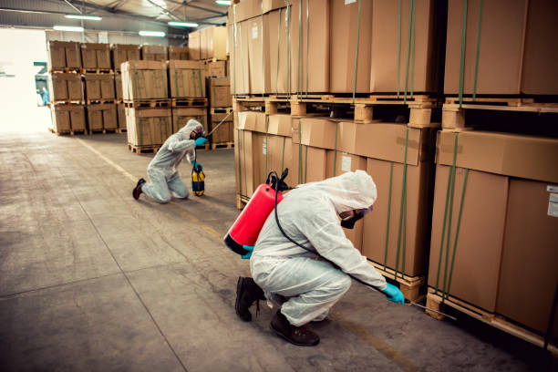 Best Exterminator Services  in Tres Arroyos, NM