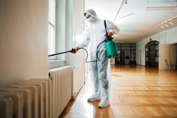Professional Pest Control in Tres Arroyos, NM